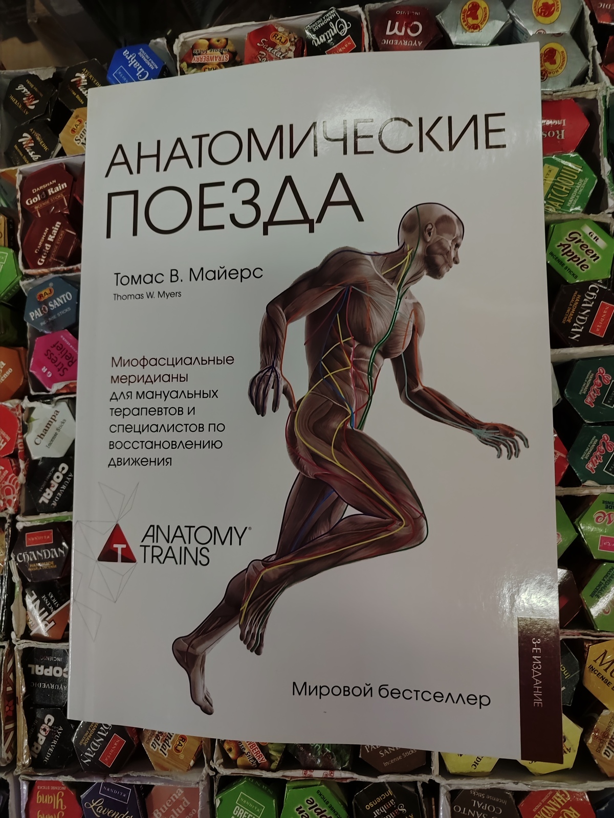 Анатомічні поїзди. Міофасціальні меридіани для мануальної та спортивної медицини. Майєрс Т. великий формат