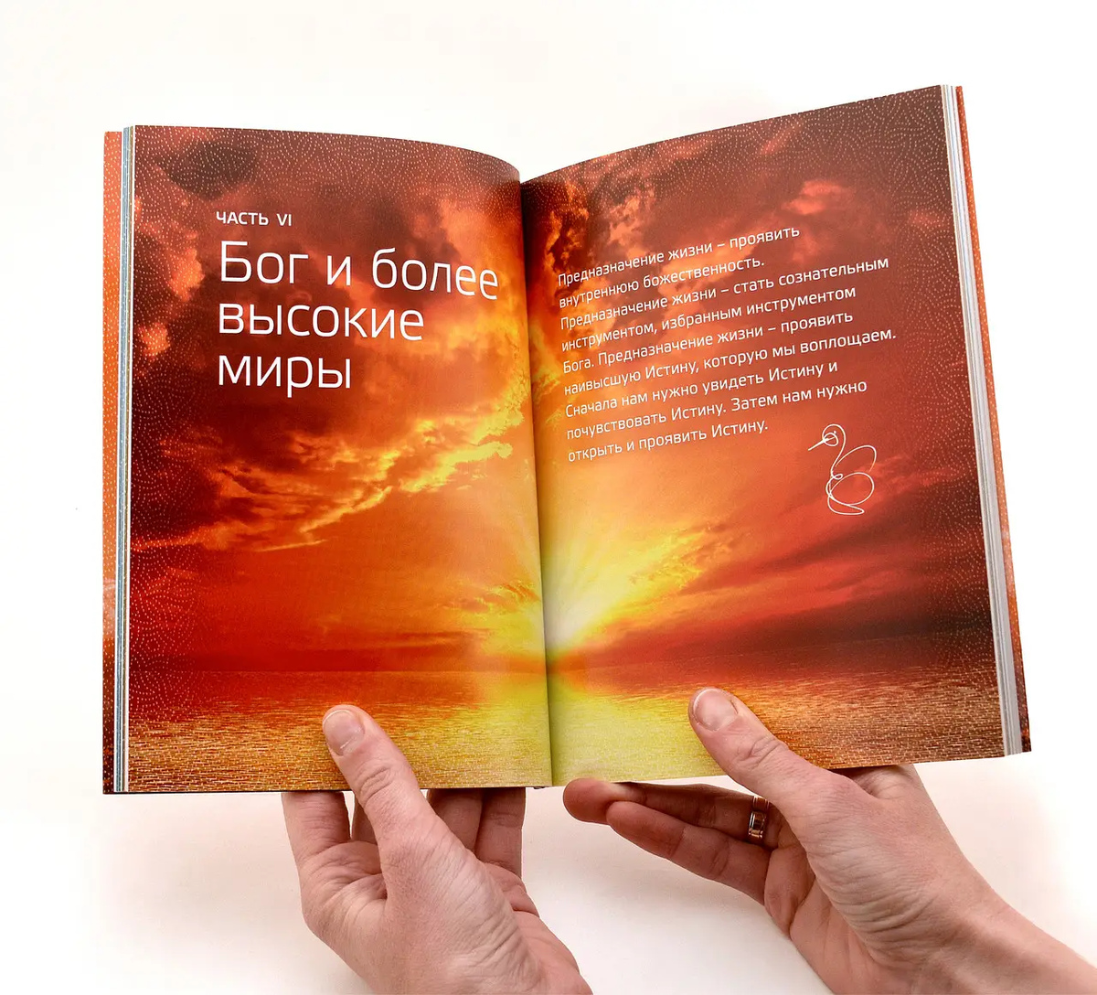 Книга Пригода життя. Про йогу, медитацію і мистецтво жити. Шрі Чинмой
