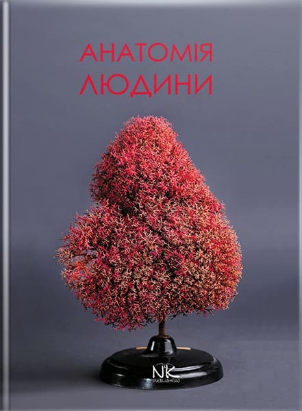 Анатомія людини: підручник для студ. фарм. факультету. Матешук-Вацеба Л. Р.