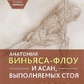 Анатомія віньяса-флоу та асан, що виконуються стоячи. Лонг Рей великий формат