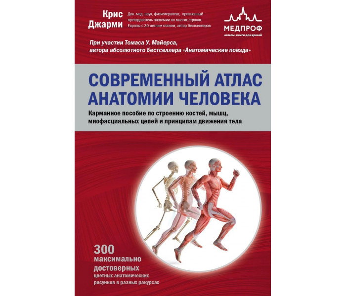 Сучасний атлас анатомії людини. Кишеньковий посібник з будови кісток, м'язів, міофасціальних ланцюгів та принципів руху тіла. Джармі К.
