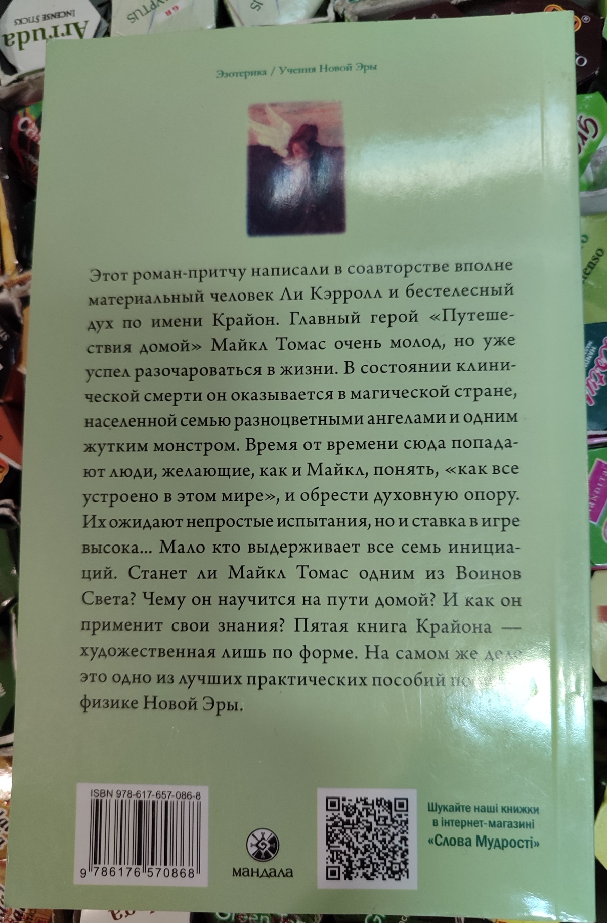 Подорож додому. Майкл Томас та Сім Ангелів. Крайон Лі Керрол