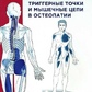 Тригерні крапки та м'язові ланцюги в остеопатії. Ріхтер Ф.