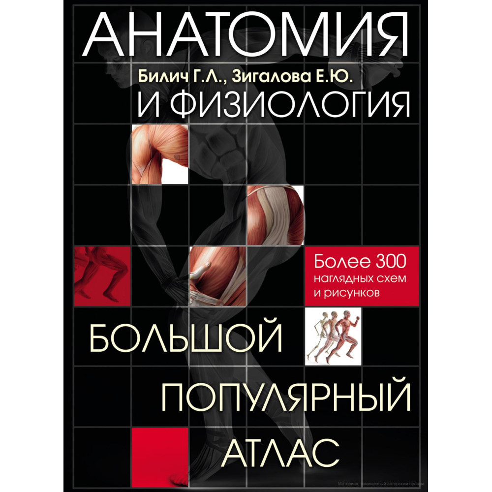 Анатомія та фізіологія. Великий популярний атлас. Г.Л.Біліч, Є.Ю.Зігалова великий формат