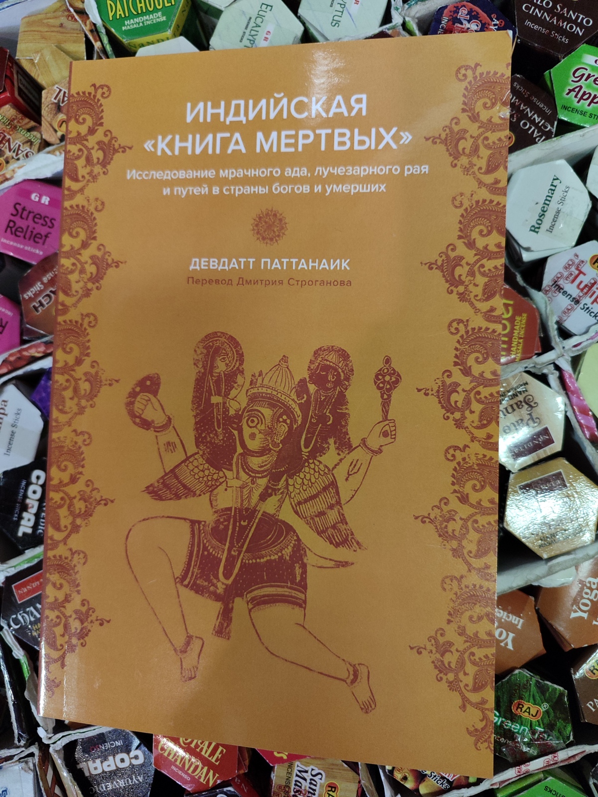 Індійська книга мертвих. Дослідження похмурого пекла, променистого раю та шляхів у країни богів та померлих. Паттанаїк Д.