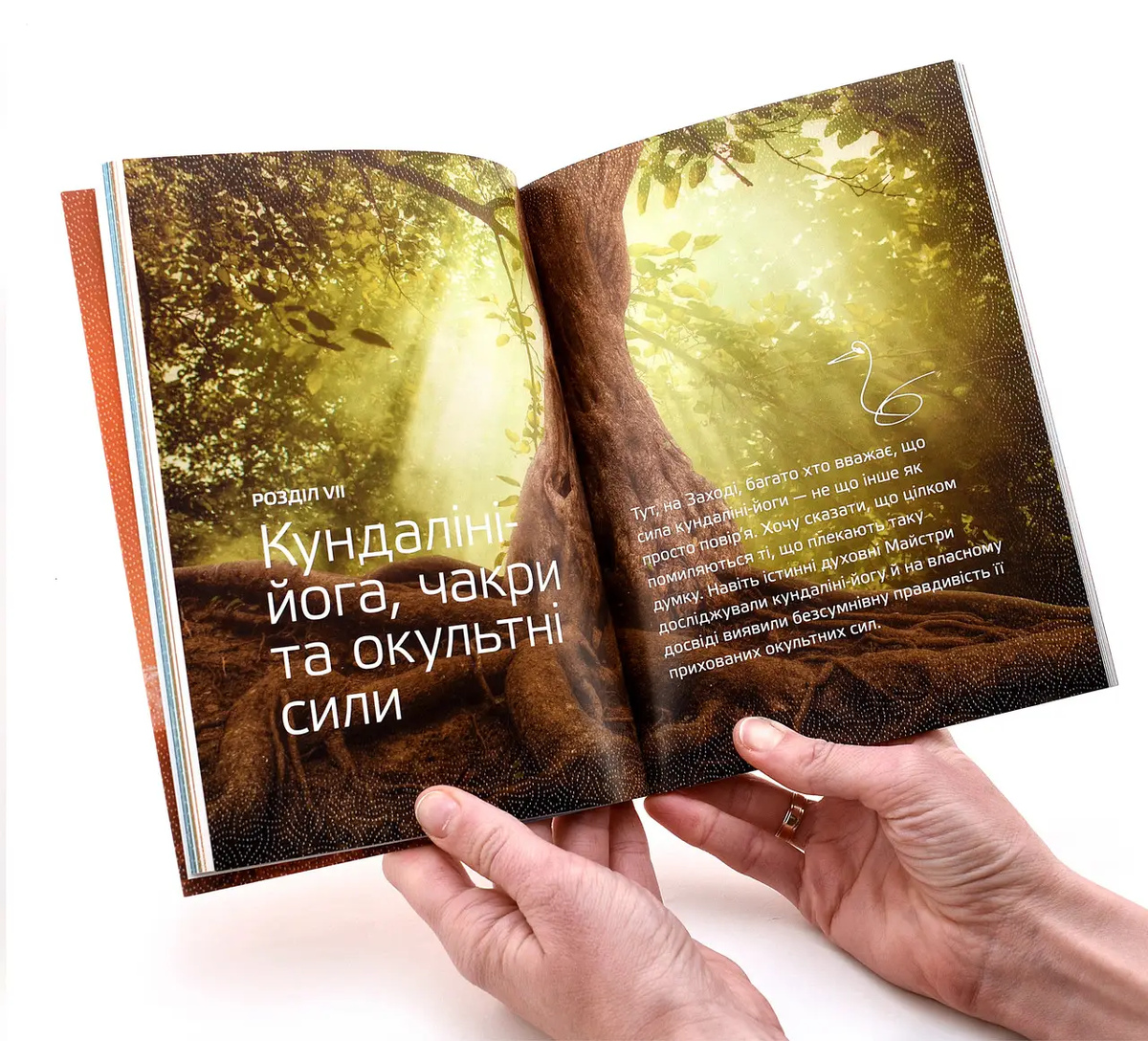 Книга Пригода життя. Про йогу, медитацію і мистецтво жити. Шрі Чинмой українською