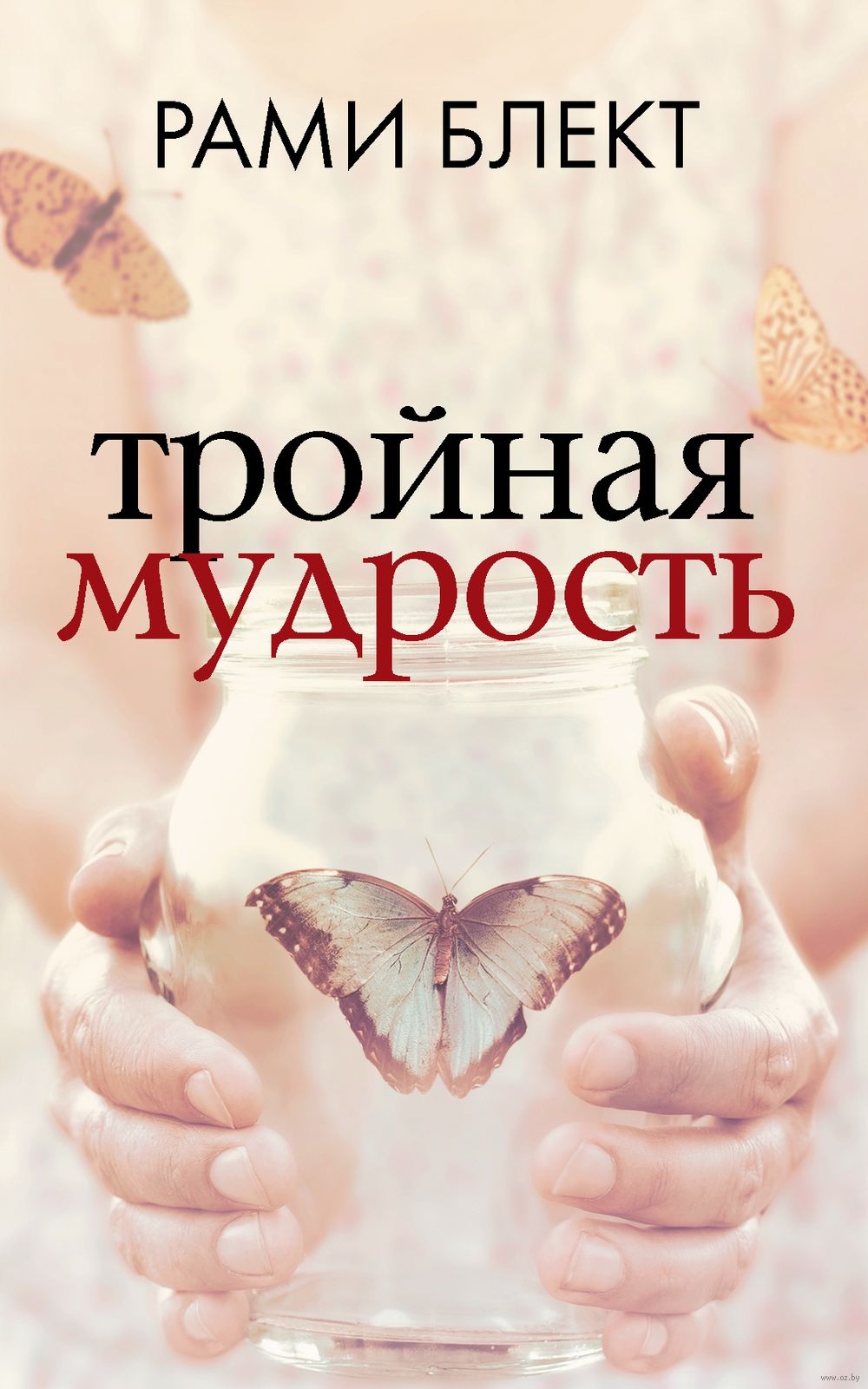 Потрійна мудрість. Рамі Блект