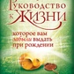 Посібник до життя, який Вам забули видати під час народження. Джо Вітале