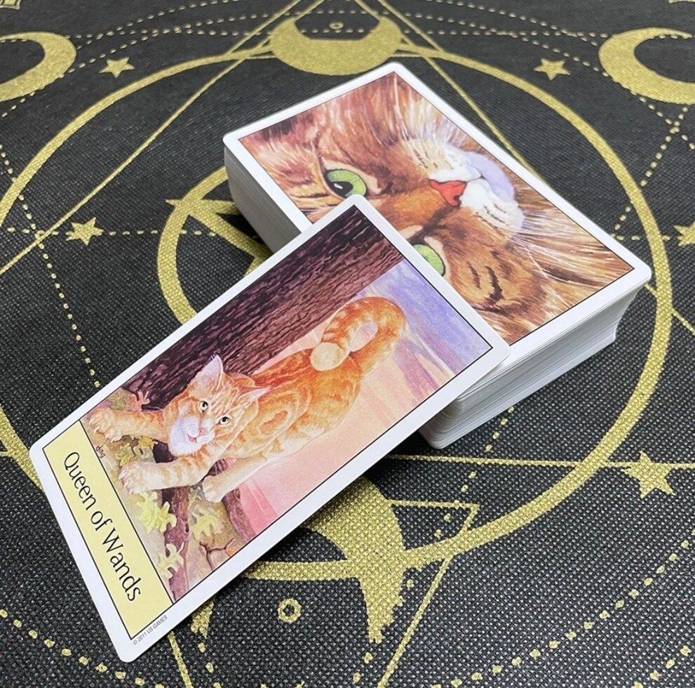 Котяче око Таро Дебри М. Гівін, DVM Cat`s Eye Tarot by Debra M. Givin. Карти Таро.