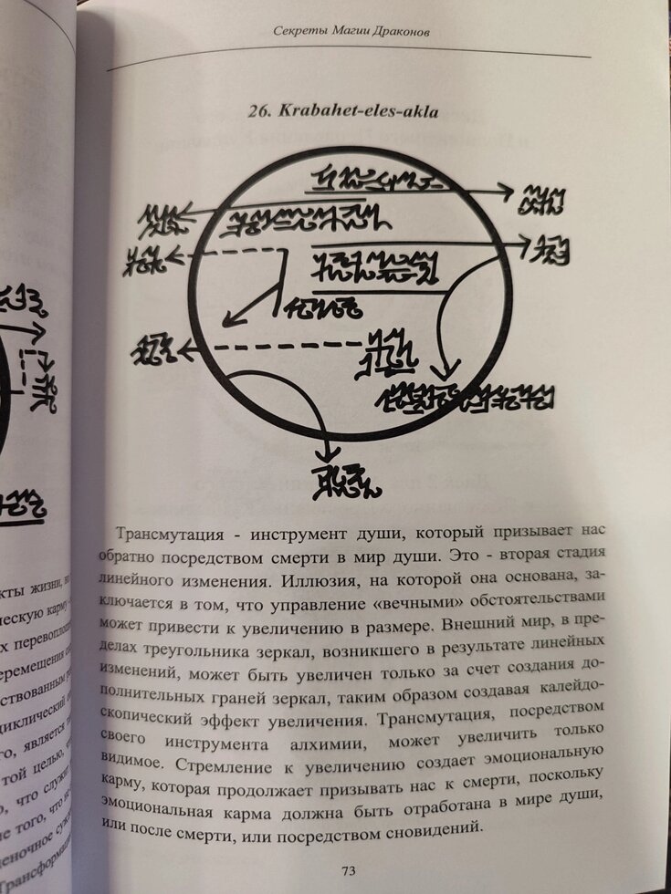 Секрети магії драконів. Альмін