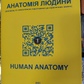 Анатомія людини. Контроль за самостійною. Підготовкою до практ. зайнятих. / Міжнародна анатомічна термінологія.