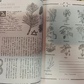 Вікка: Книга тіней. Арабо Саргсян