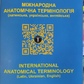 Анатомія людини. Контроль за самостійною. Підготовкою до практ. зайнятих. / Міжнародна анатомічна термінологія.
