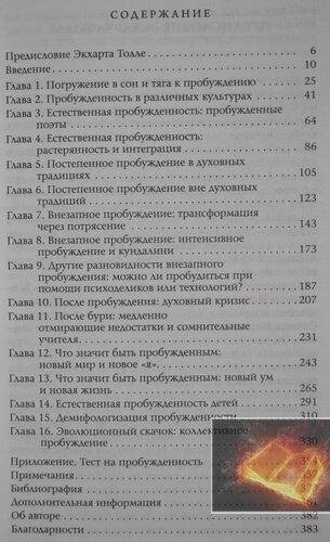 Скачок: Психологія 144 пробудження. Стів Тейлор