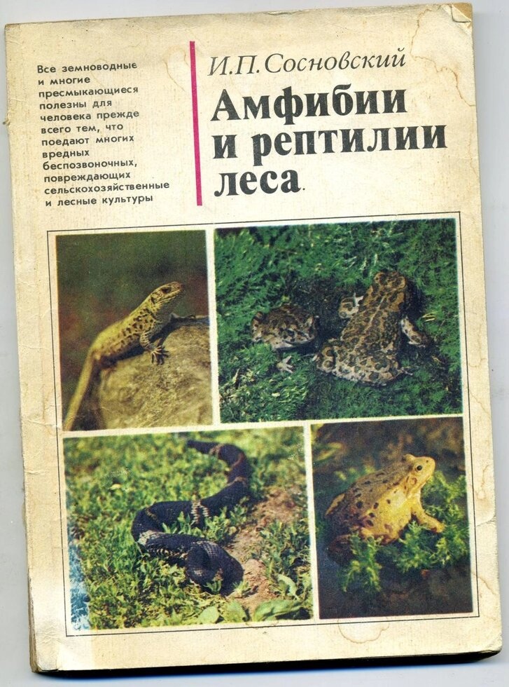 І Сосновський АМФІБІЇ І РЕПТИЛІЇ ЛІСУ 1983р.
