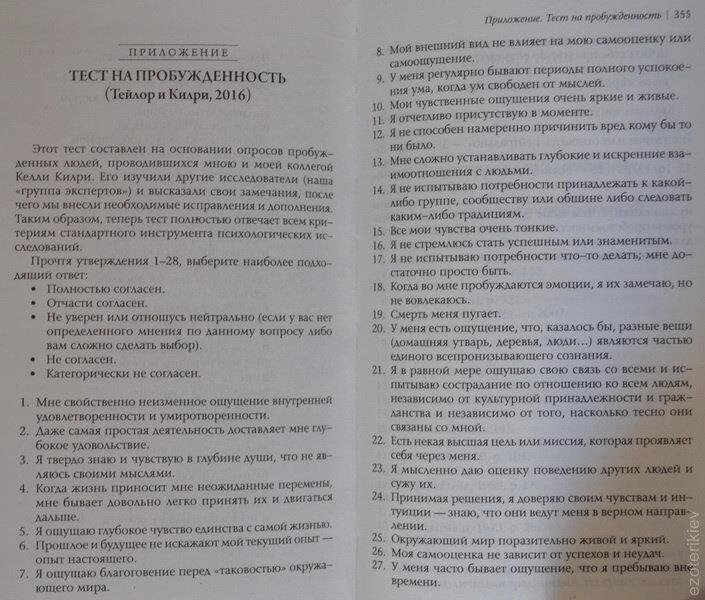Скачок: Психологія 144 пробудження. Стів Тейлор