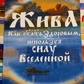 Жива. Як стати здоровим, використовуючи силу Всесвіту. Володимир Куровський