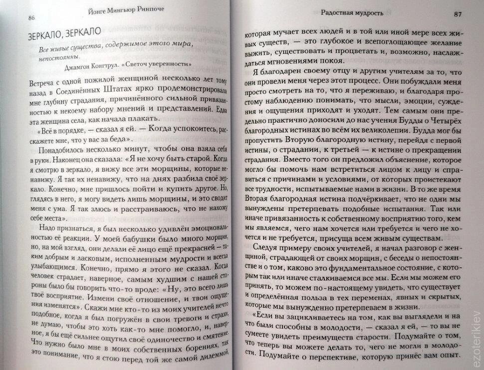 Радісна мудрість. Прийняття змін і отримання свободи. Йонге Миг'юр Рінче.